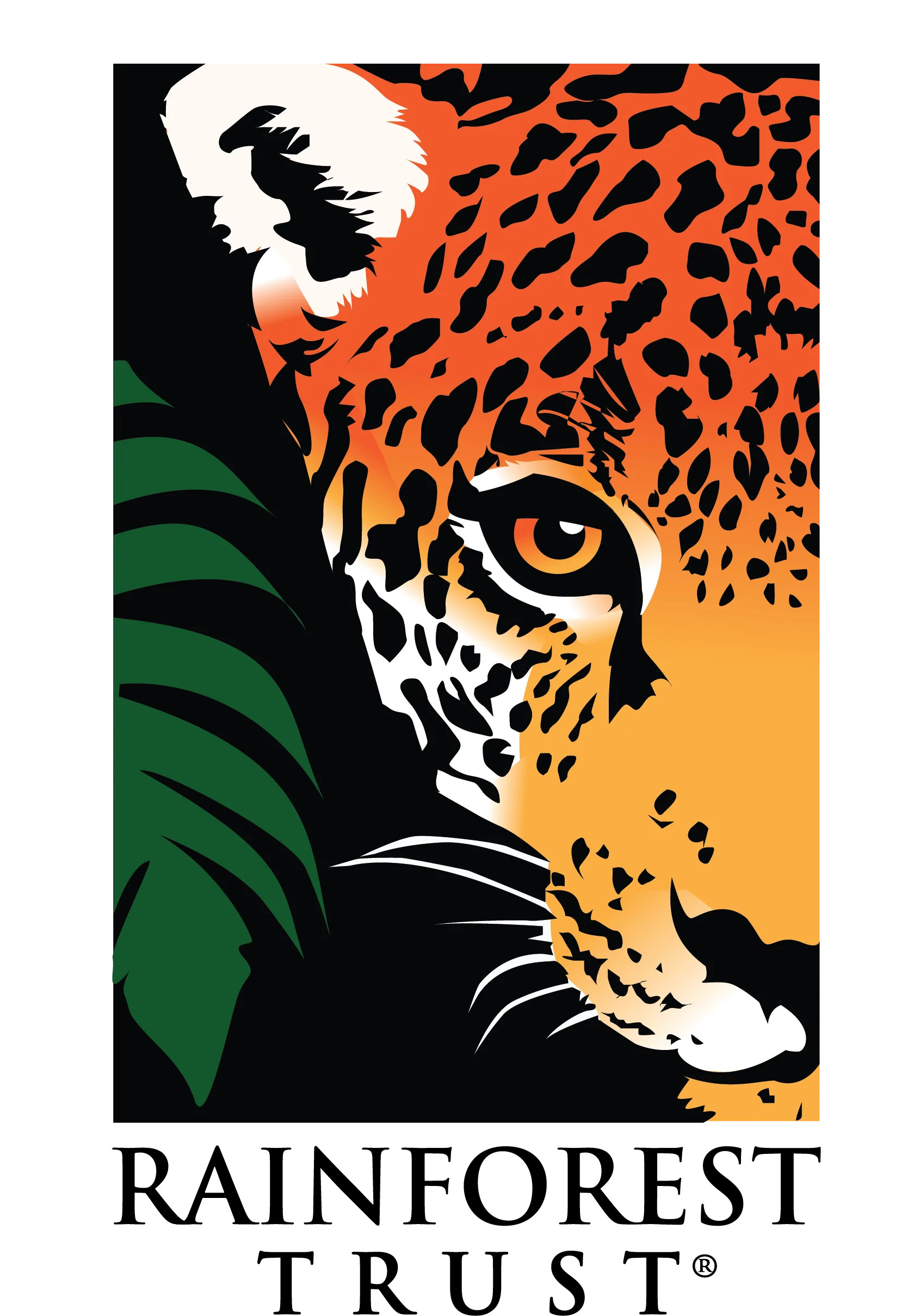 Safeguard Critical Rainforest Habitat - Image 8