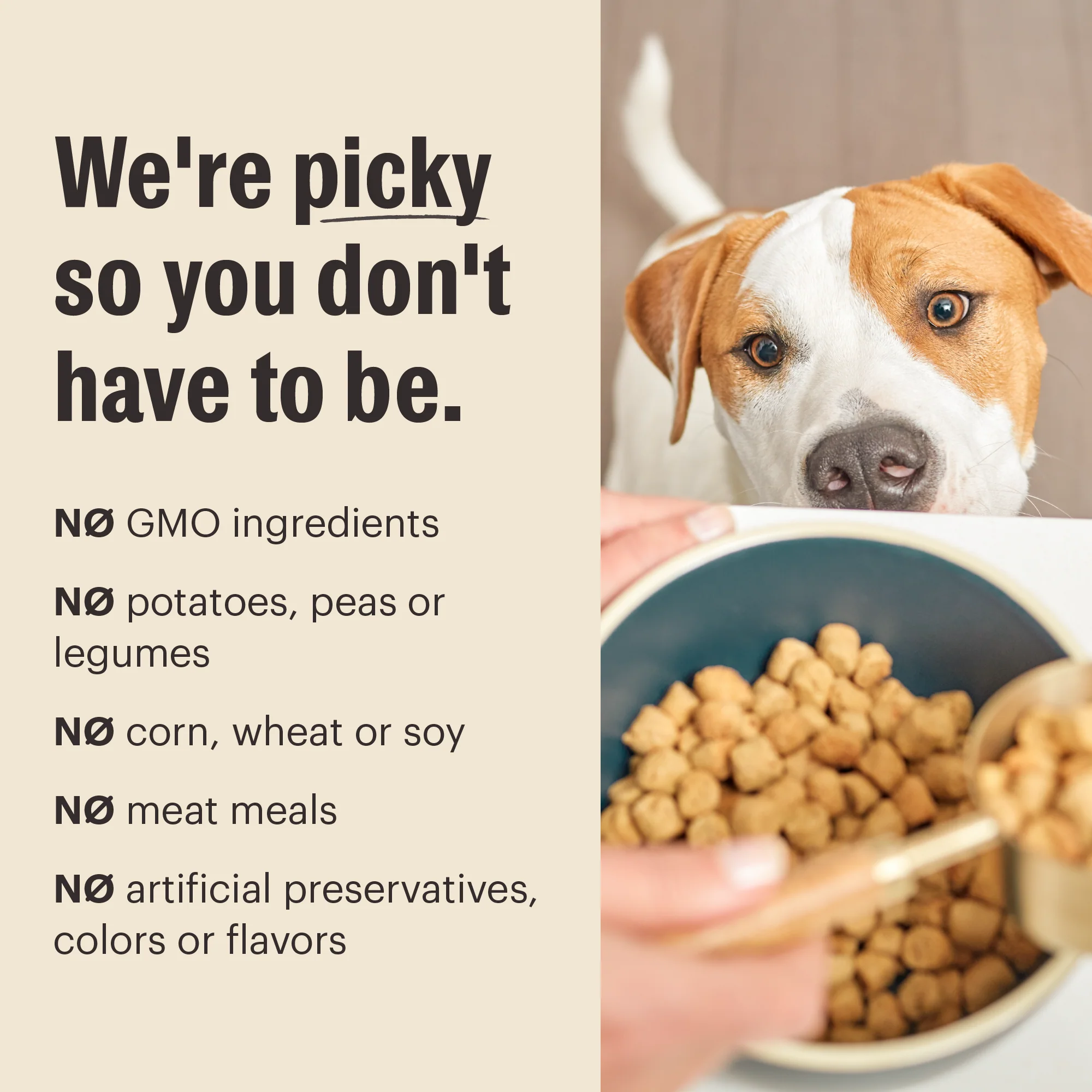 Dry Dog Food, Whole Grain Chicken Whole Food Clusters - Image 5