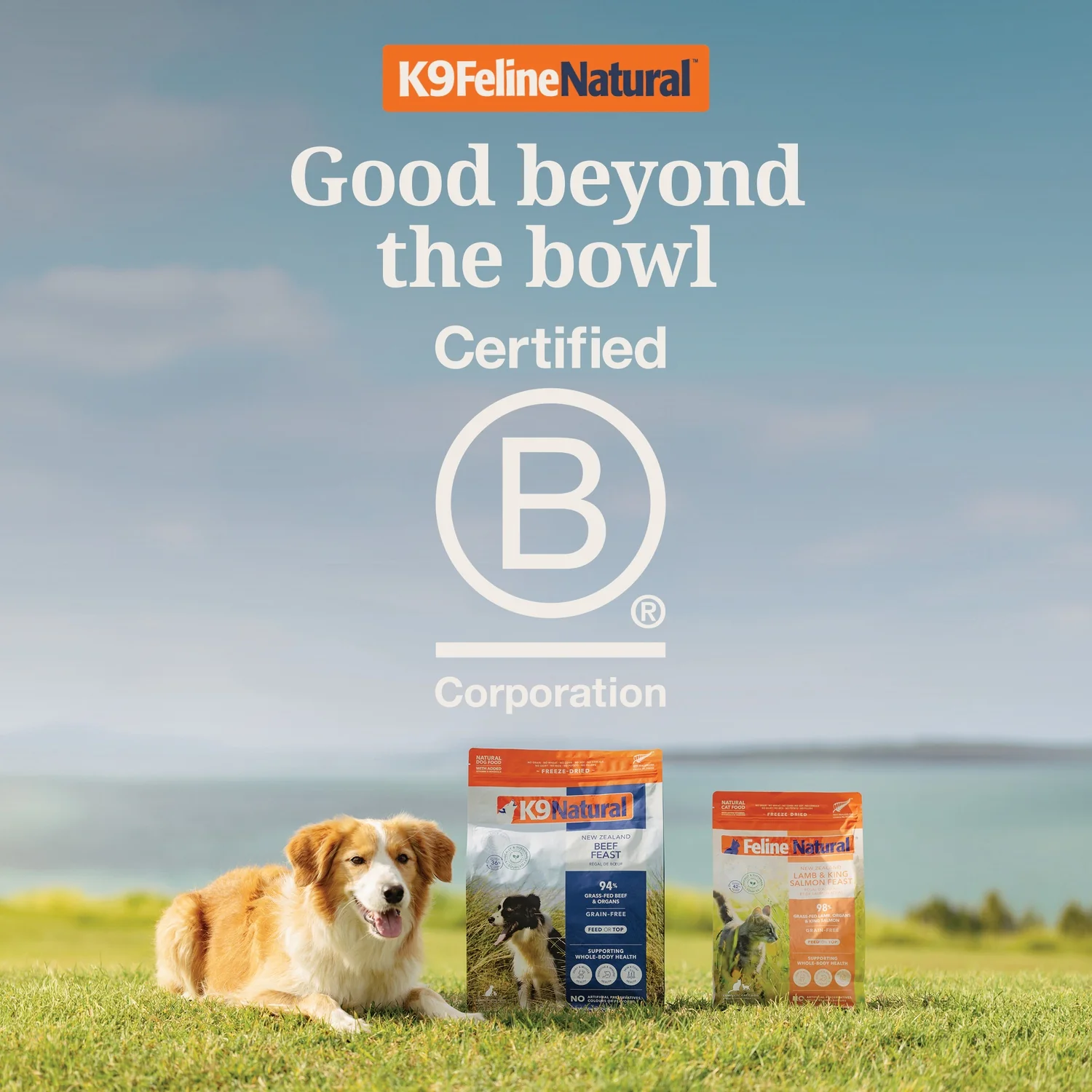 Dog Treat Protein Bites - Grain-Free, Air-Dried - Image 4