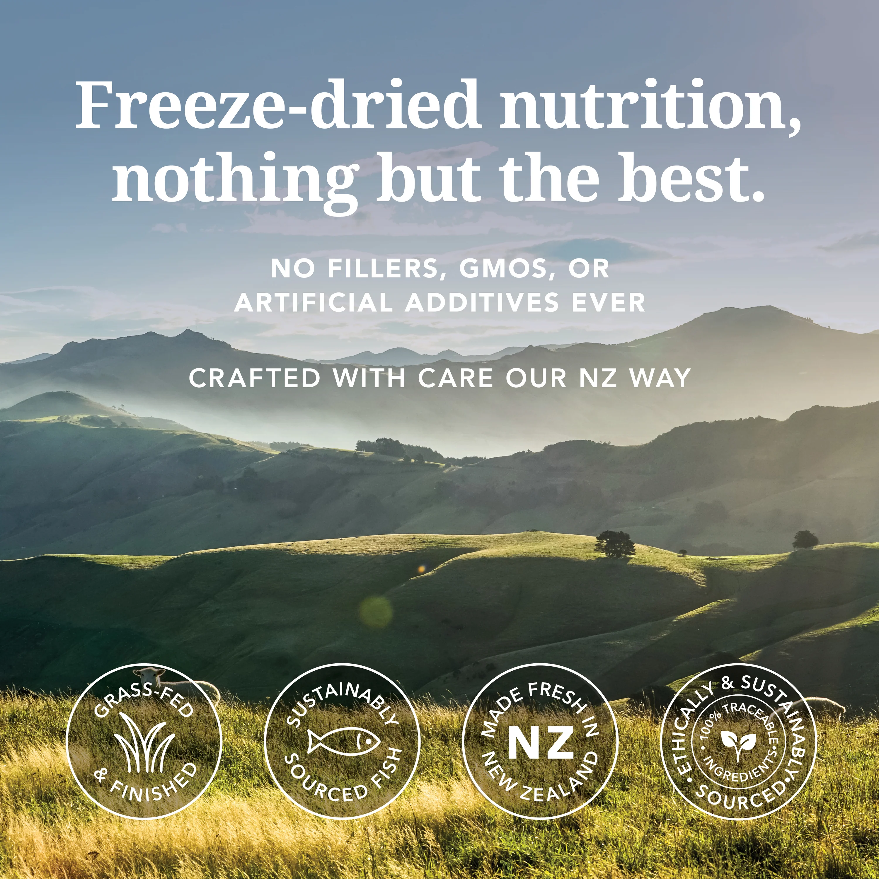 Dog Food - Grain-Free, Freeze-Dried - Image 15