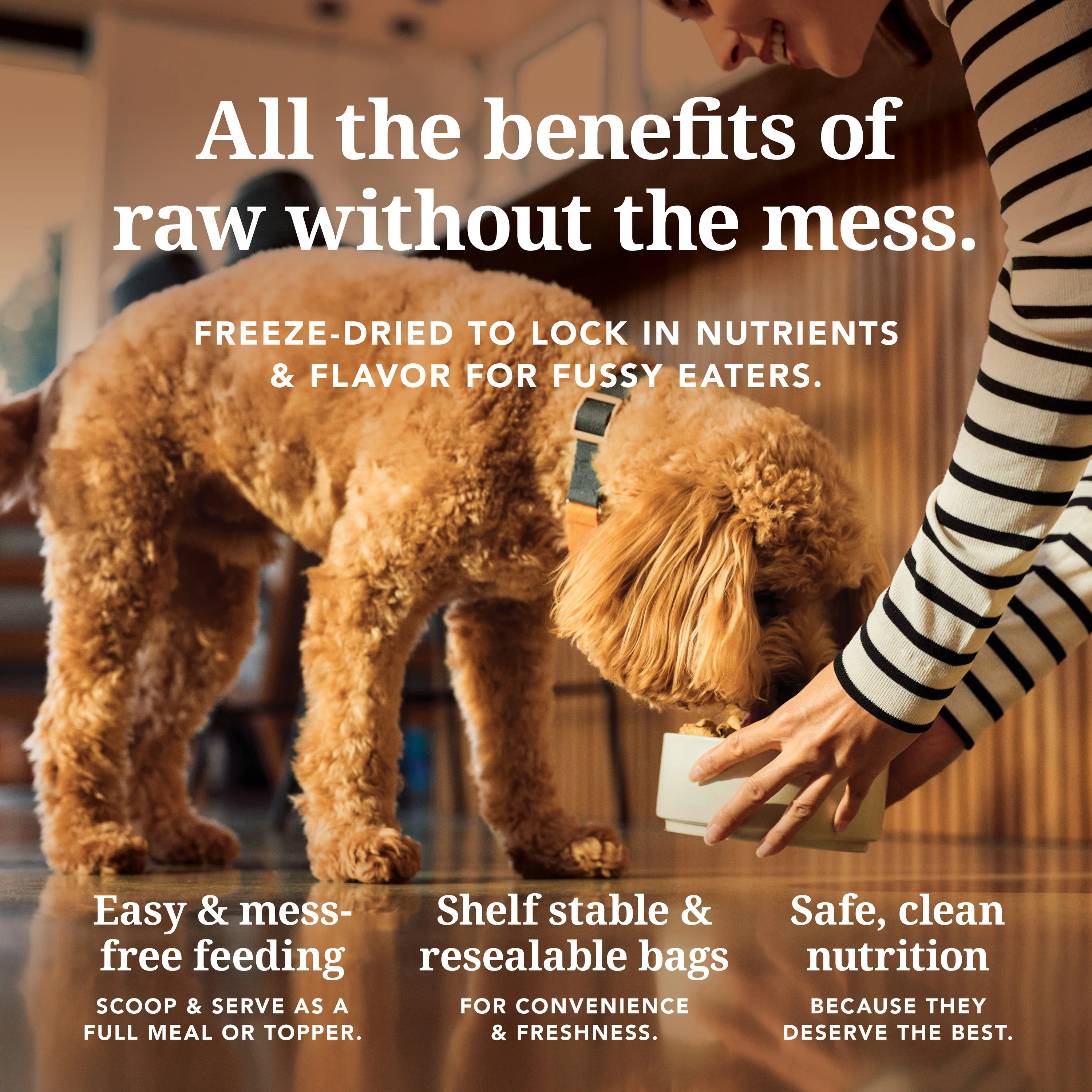 Dog Food - Grain-Free, Freeze-Dried - Image 5