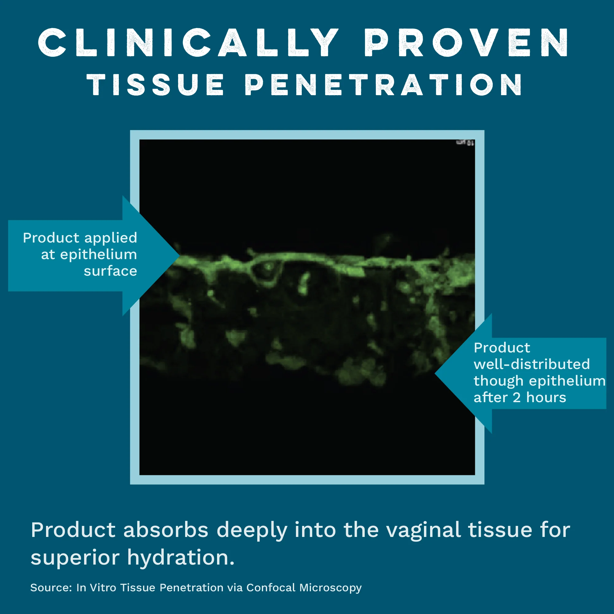 Internal Vaginal Moisturizing Gel for Dryness & Comfort - Image 11