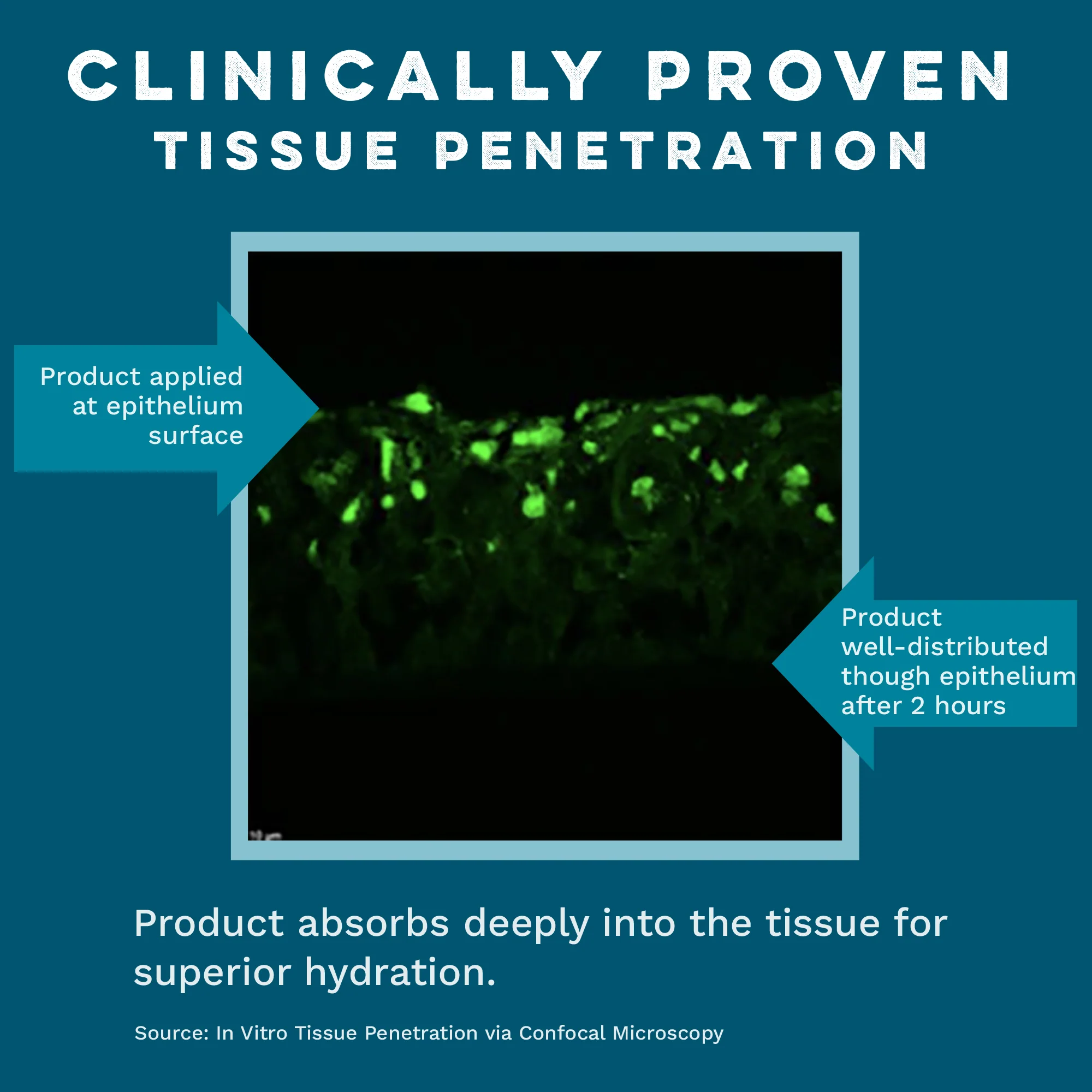 Intimate Serum - Hydrating & Soothing Care for Delicate Skin Balance - Image 8