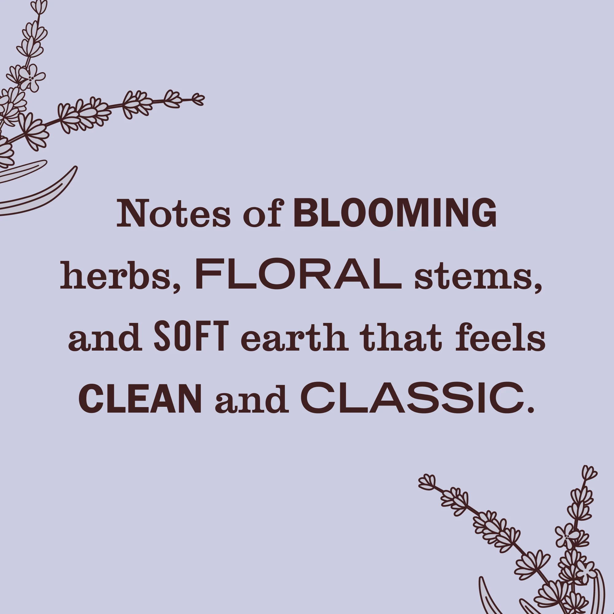 Scented Oil Refills - Image 5
