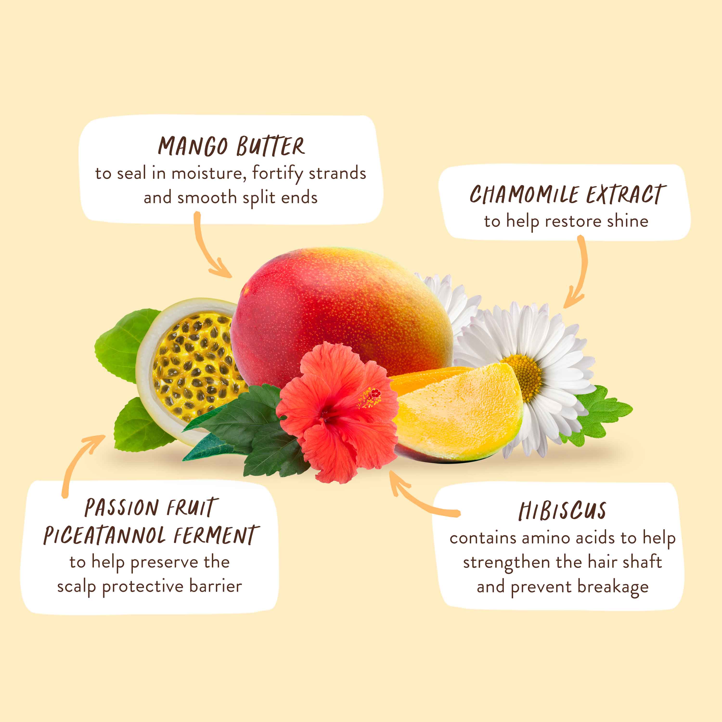 Nourishing Shampoo for Dry, Damaged Hair - Image 11
