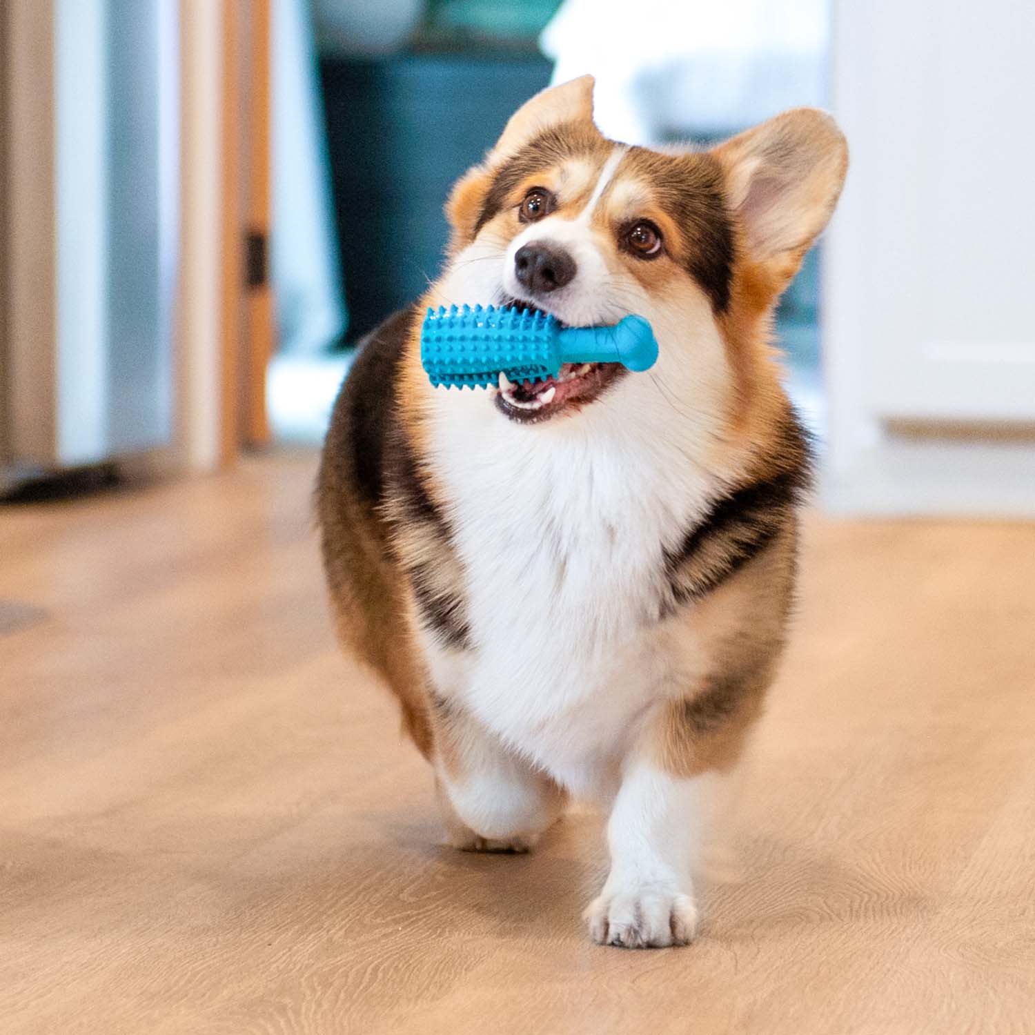 Pet Dental Chew Toy - Image 11