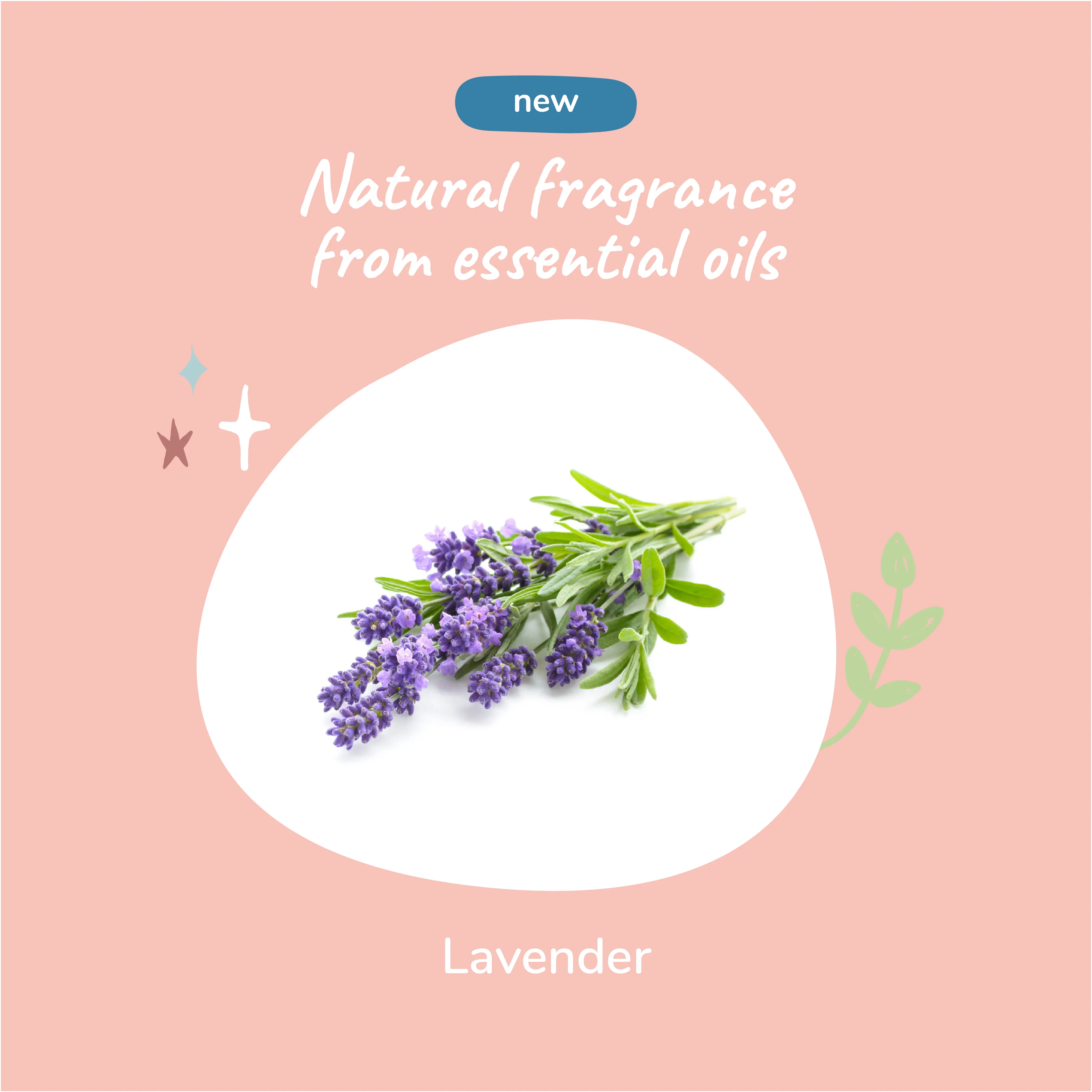 Lavender Natural Coat Spray for Dog & Cat - Image 4