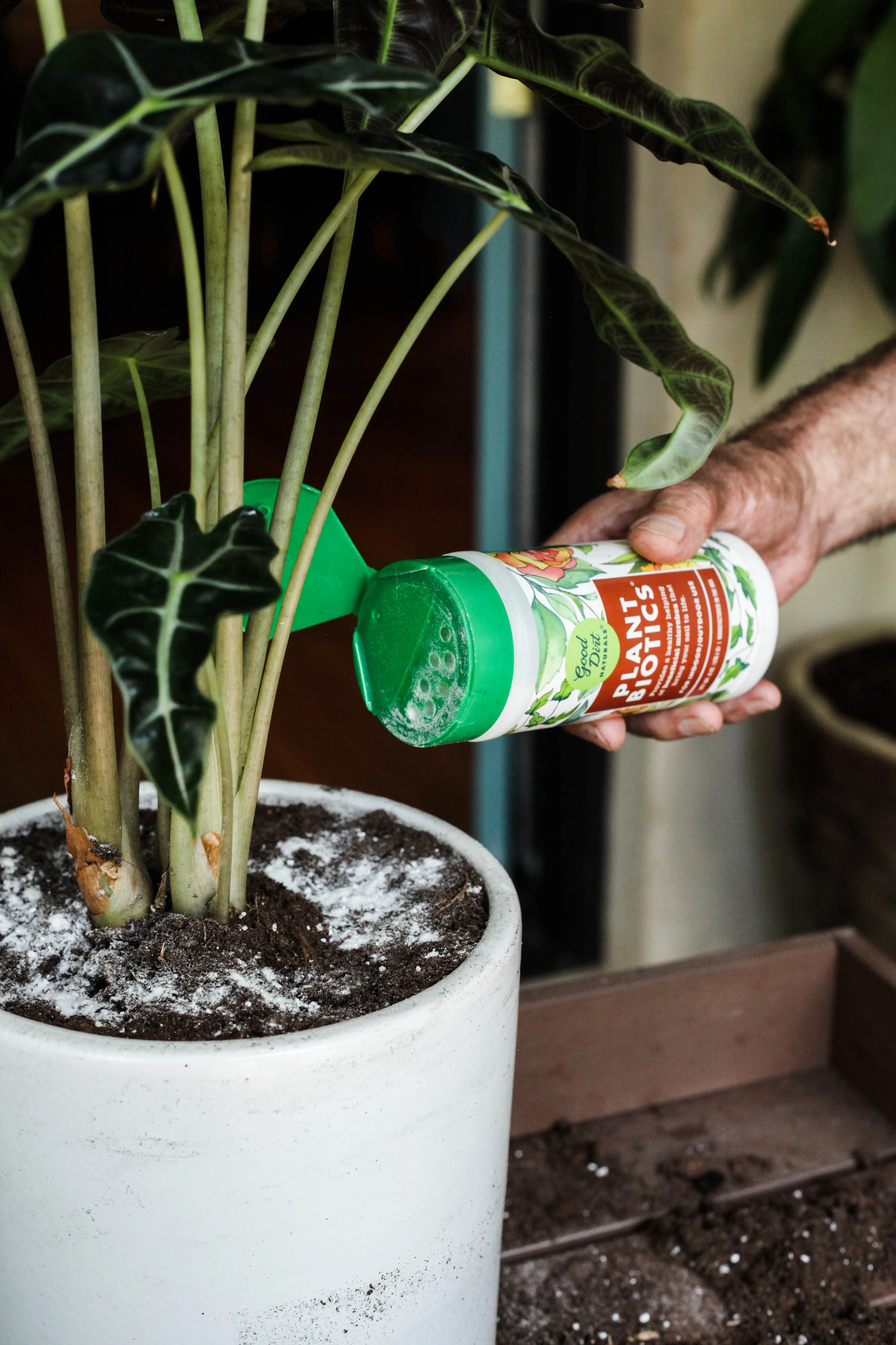 PlantBiotic Indoor/Outdoor Nutrient Boost - Image 2
