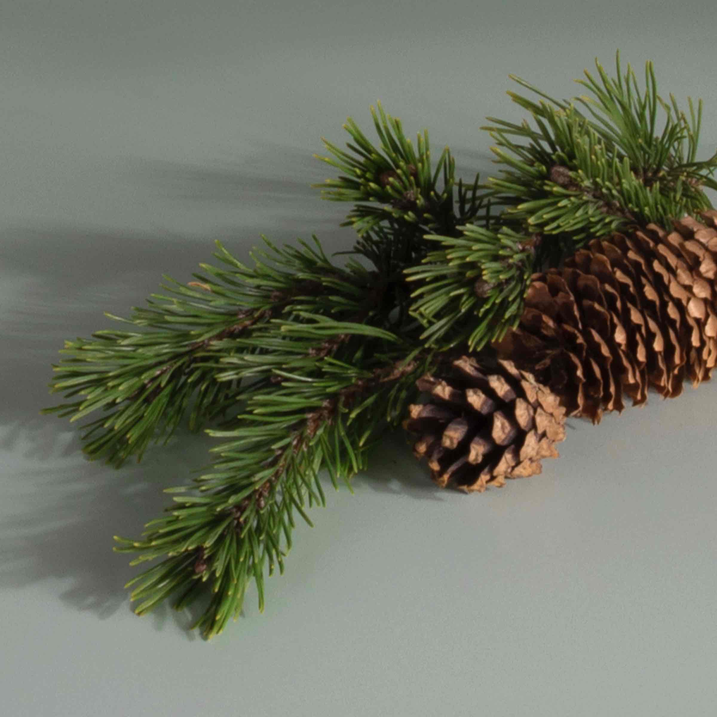 Plug-in Air Freshener Refill - Image 79