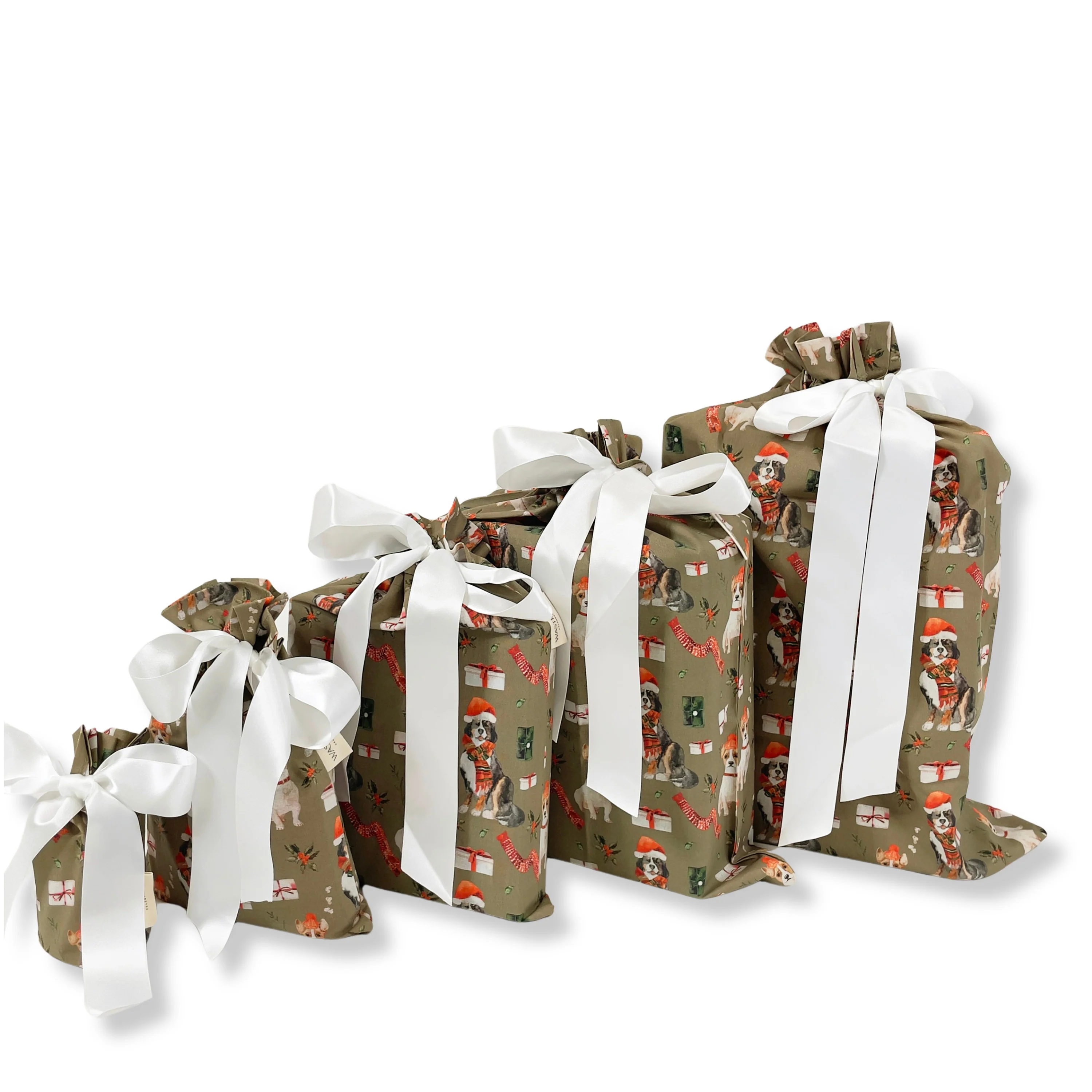 Set of 5 Reusable Gift Bags