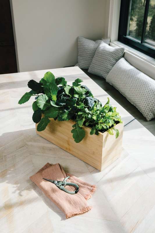 Pruning Shears - Image 5