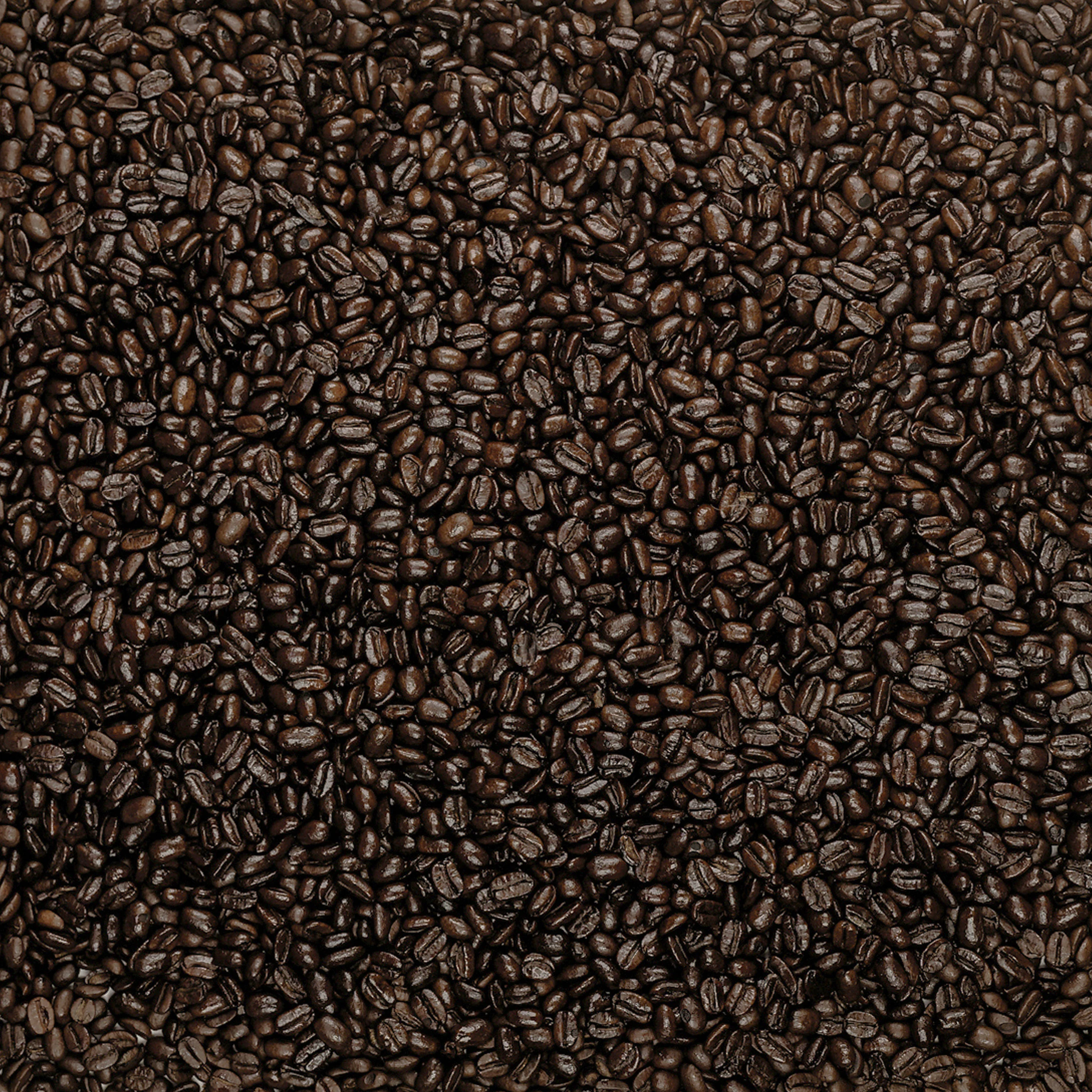 Songbird French Very Dark Whole Bean Coffee - Image 5