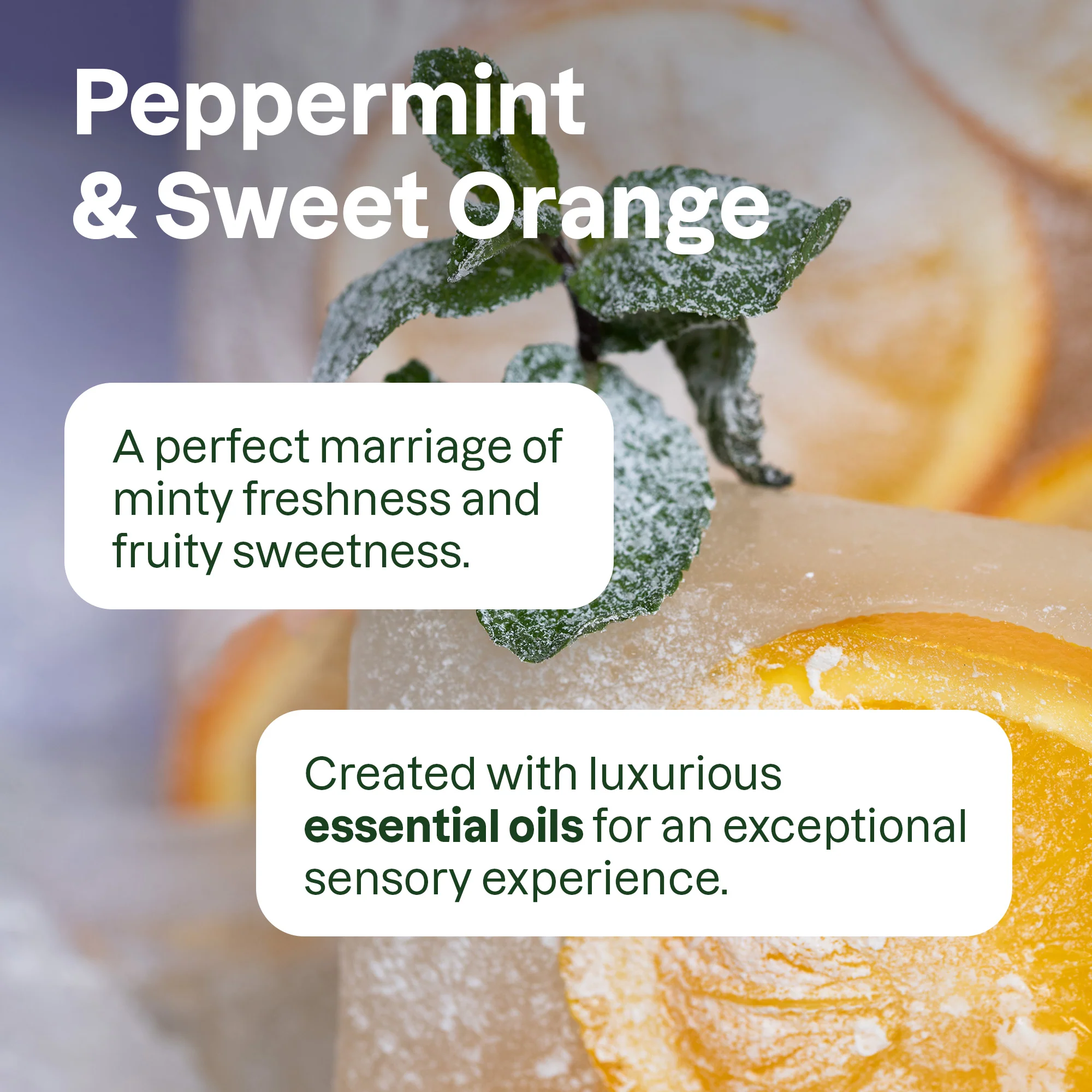 super leaves essential oils Conditioner Hydrating - Image 5