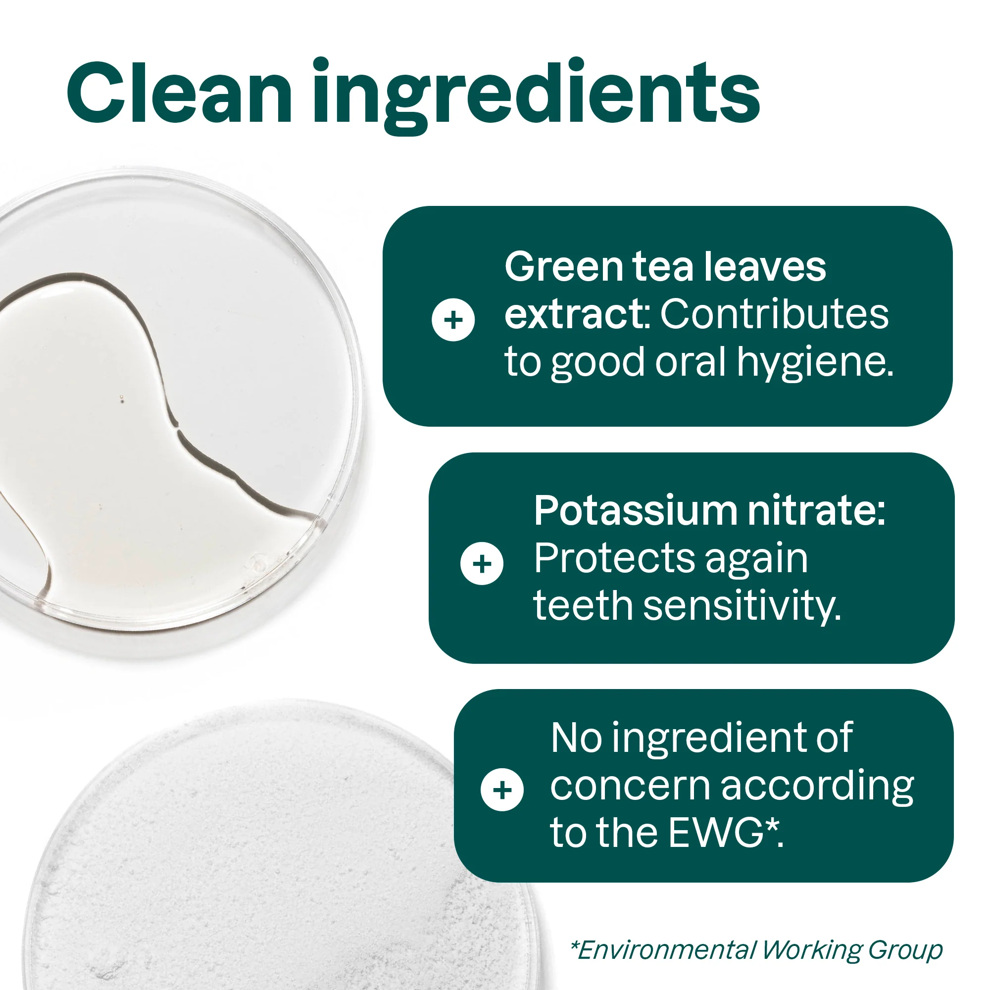 super leaves Fluoride-Free Toothpaste - Fresh Breath - Image 4