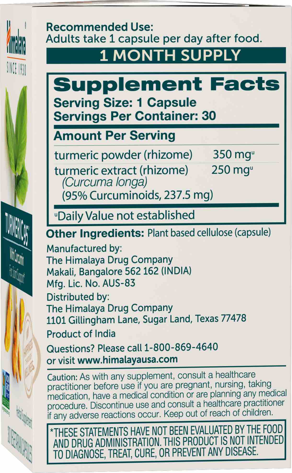Turmeric - Image 2