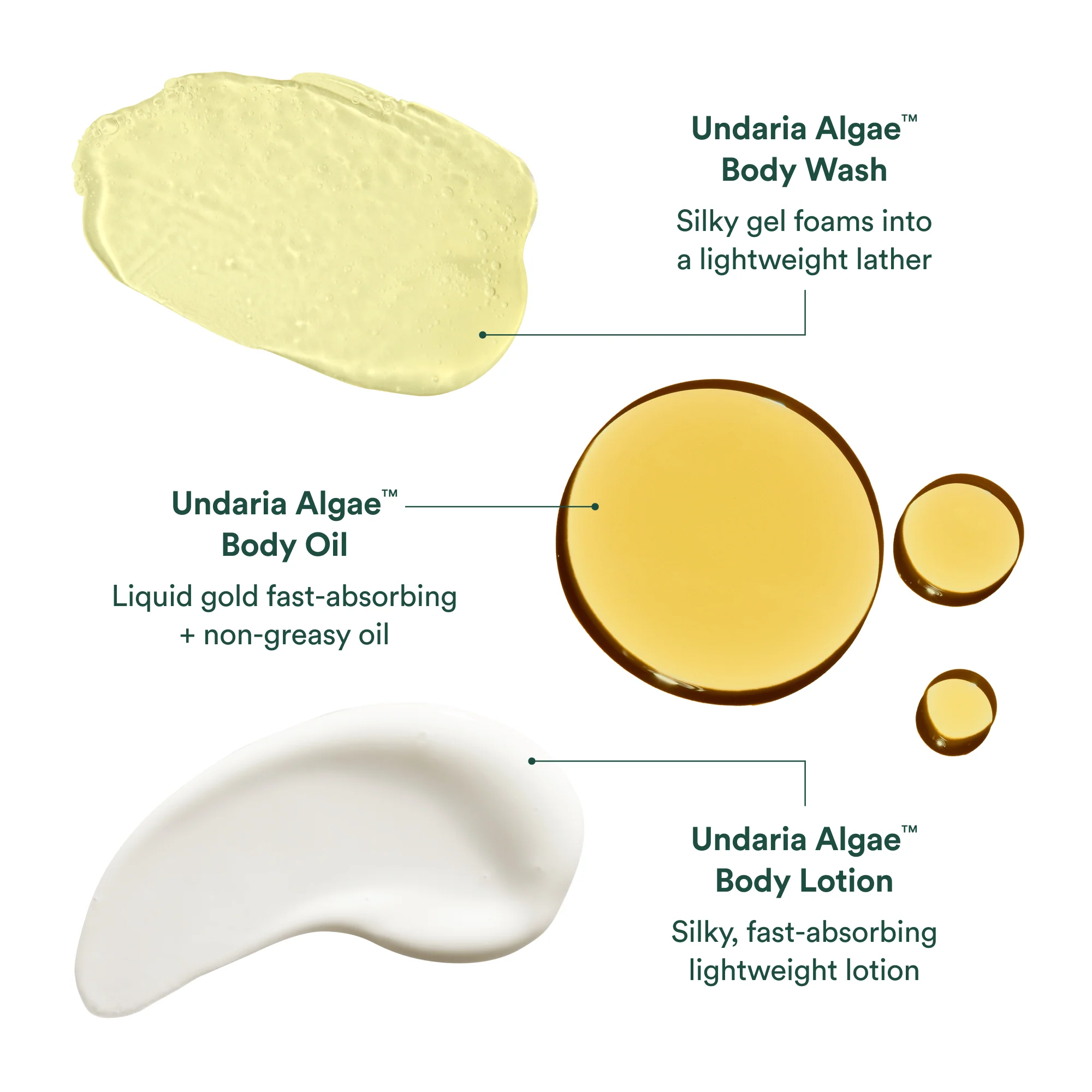 Undaria Body Glow Trio - Image 6