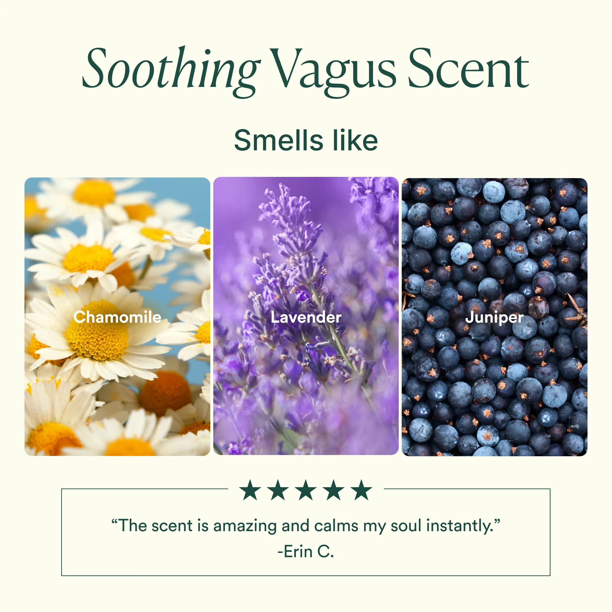 Vagus Nerve Pillow Mist - Image 6