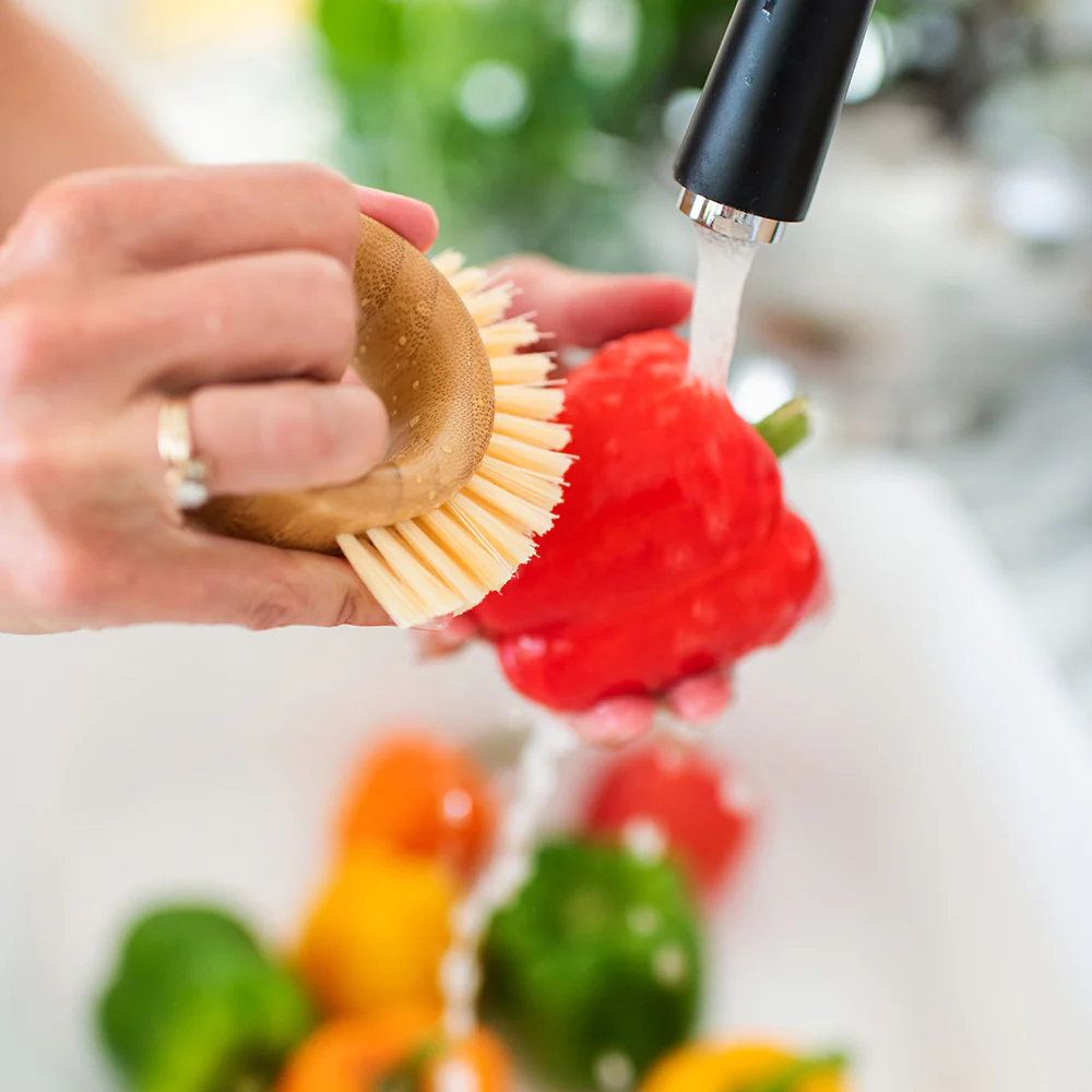 Veggie Brush - Image 2