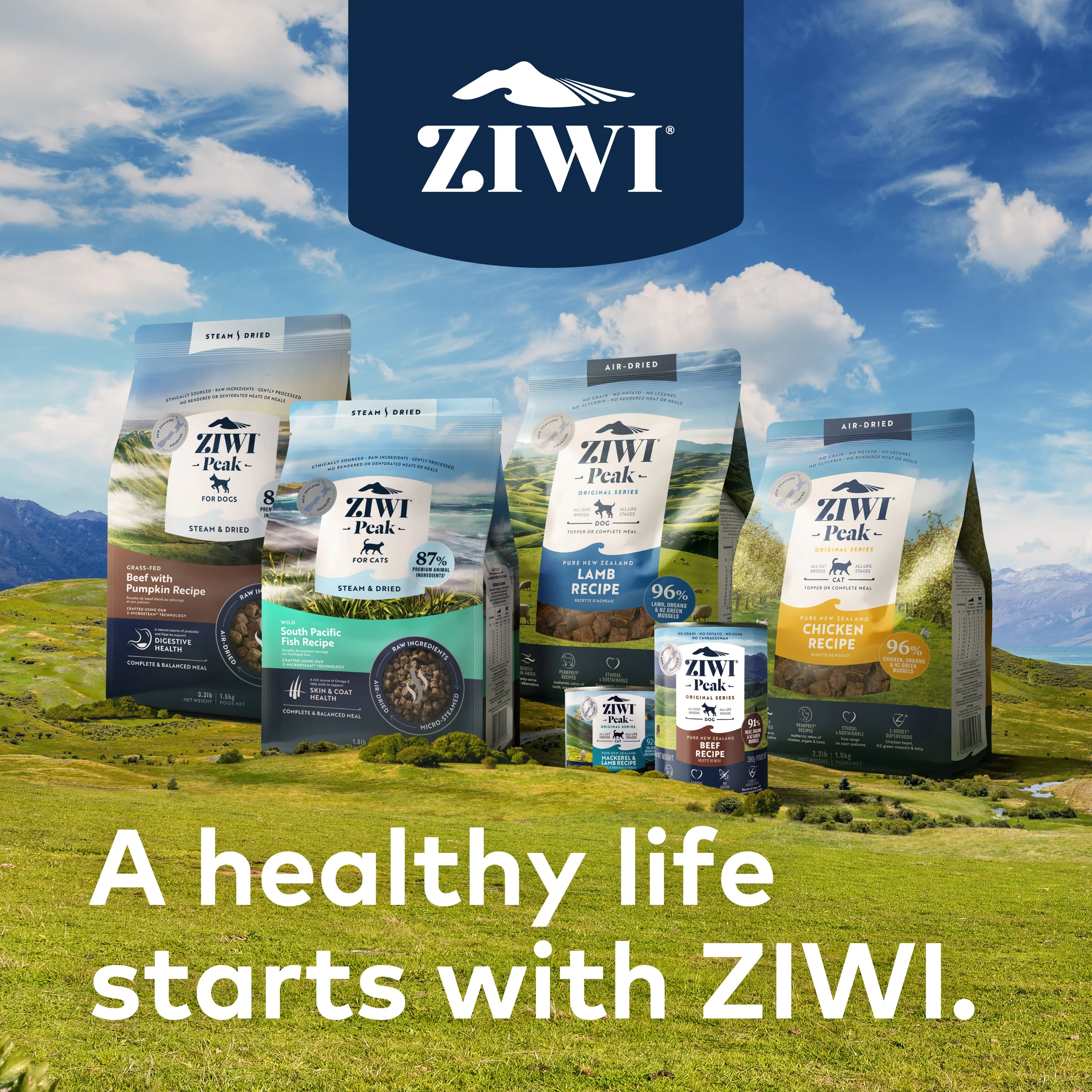 Canned Wet Dog Food – All Natural, High Protein, Grain Free, Limited Ingredient, with Superfoods - Image 8